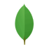 MongoDB