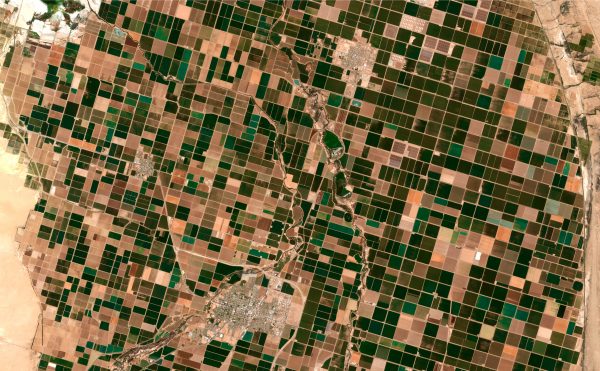 Difference between vector and raster data
