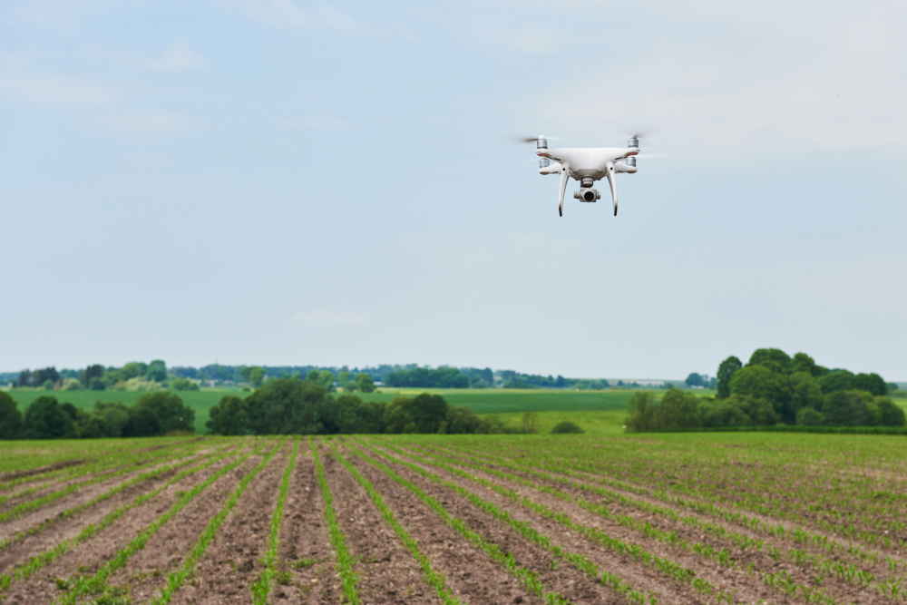 GIS development in agriculture