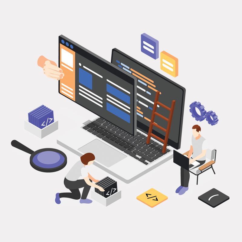 custom software development