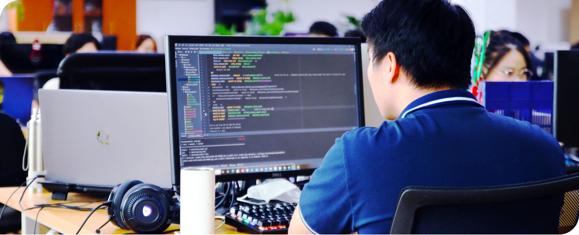 custom software development services